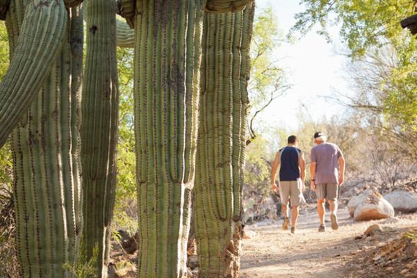 Canyon Ranch Tucson Exterior foto