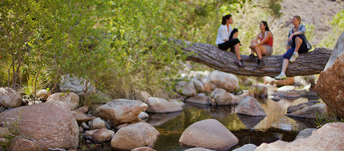 Canyon Ranch Tucson Exterior foto